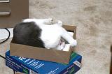 20031229_Kitty Kat_029